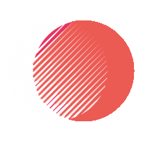hedigerweb.ch